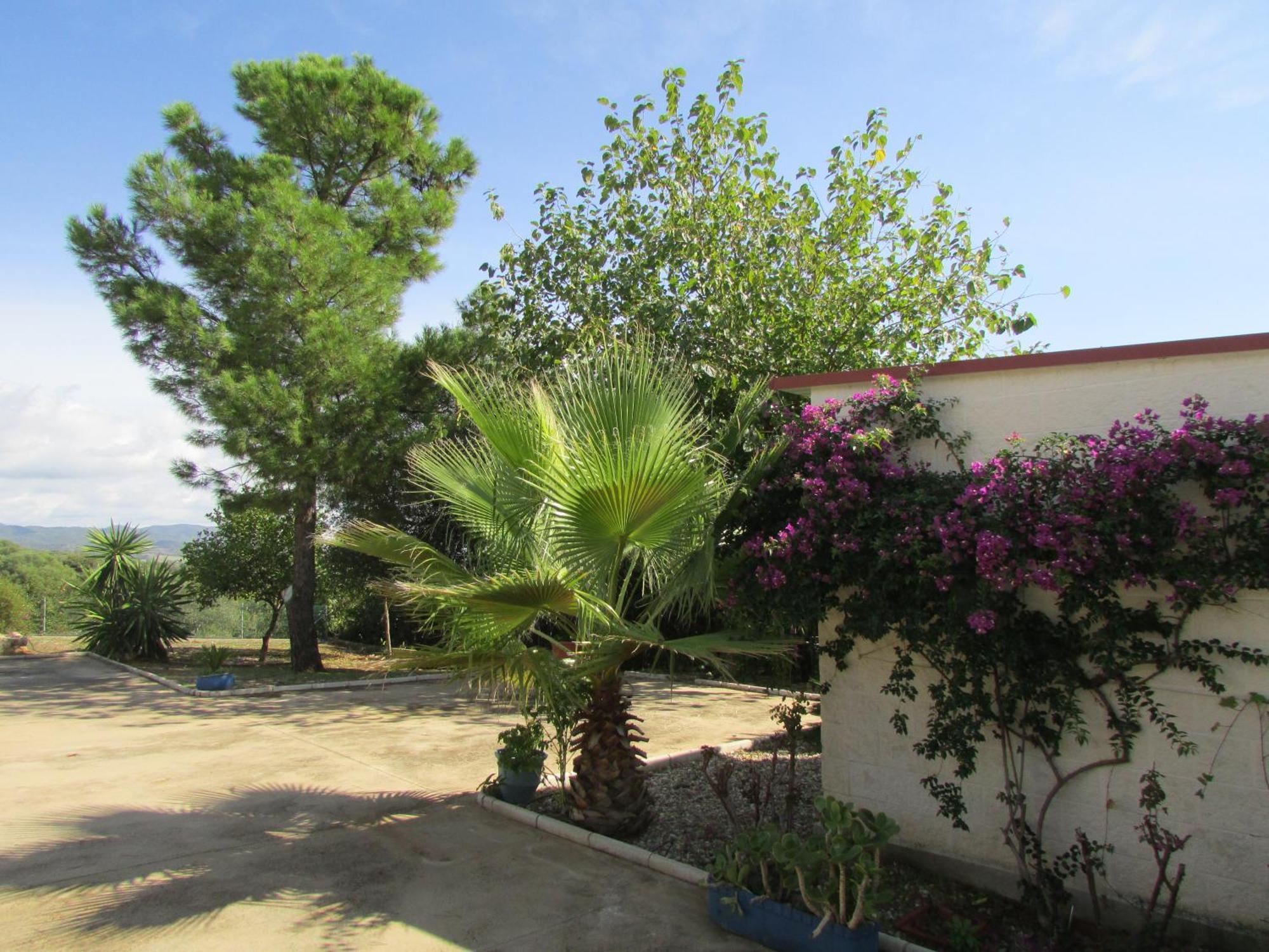 Villa Alare Almodovar del Rio Exterior photo